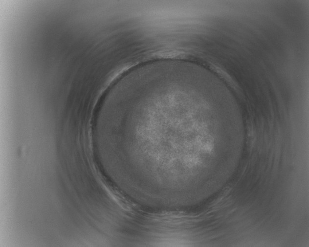 X0000063470626200602031900