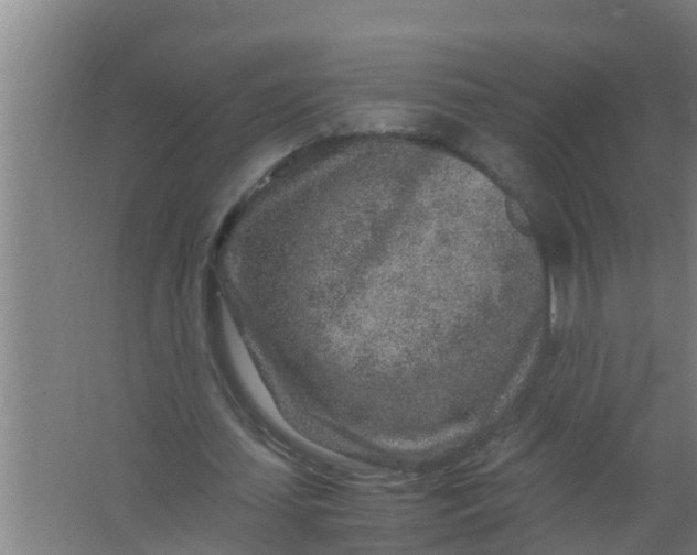 X0000063470627200602031900