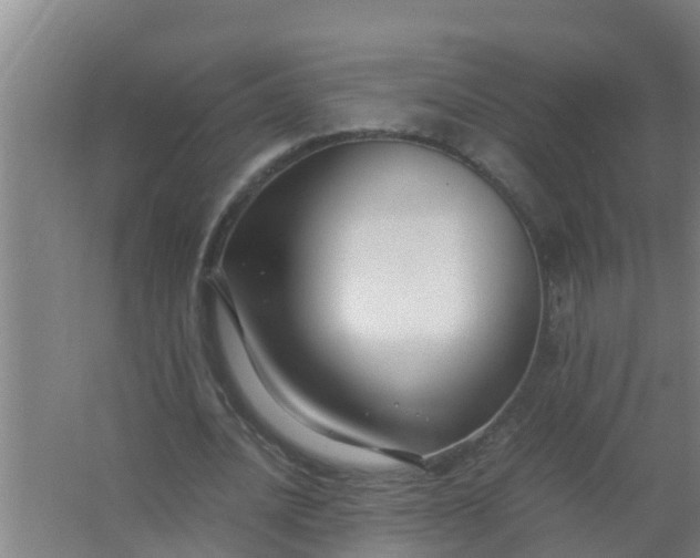 X0000063470628200602031900