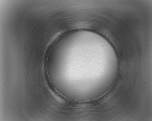 X0000063470629200602031900