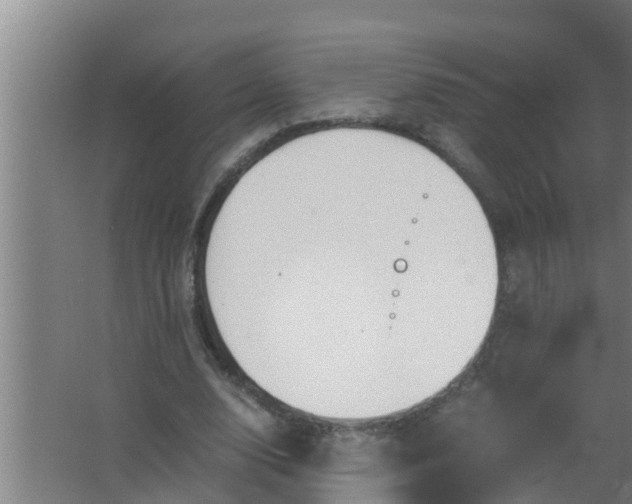 X0000063470632200602031900