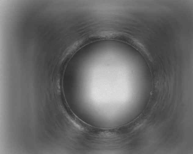 X0000063470633200602031900