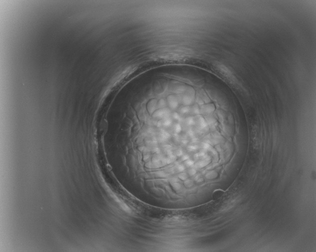 X0000063470634200602031900