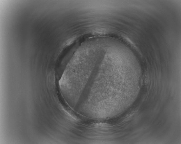 X0000063470637200602031901