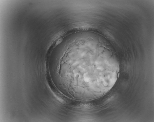 X0000063470638200602031901