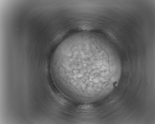 X0000063470639200602031901