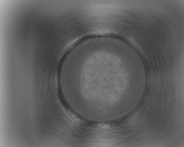 X0000063470640200602031901