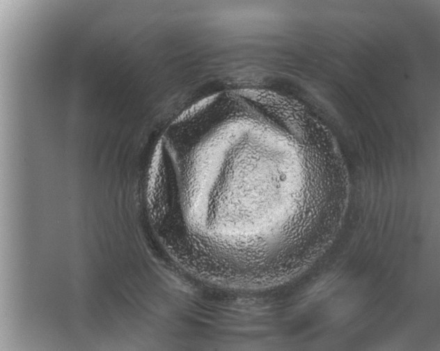 X0000063470641200602031901