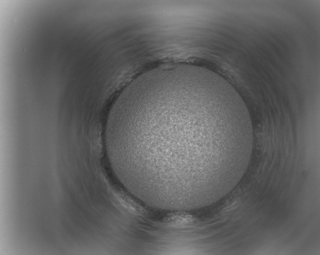 X0000063470642200602031901