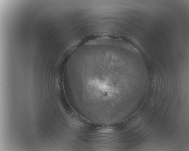 X0000063470643200602031901