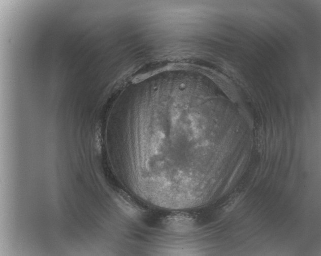 X0000063470644200602031901