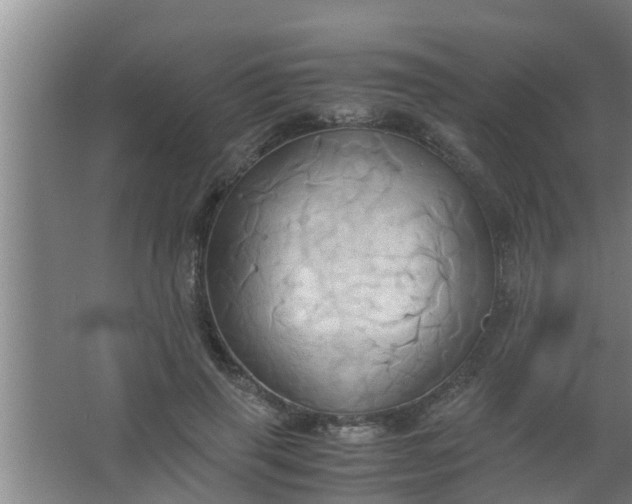 X0000063470645200602031901