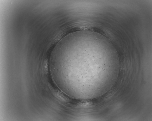 X0000063470646200602031901