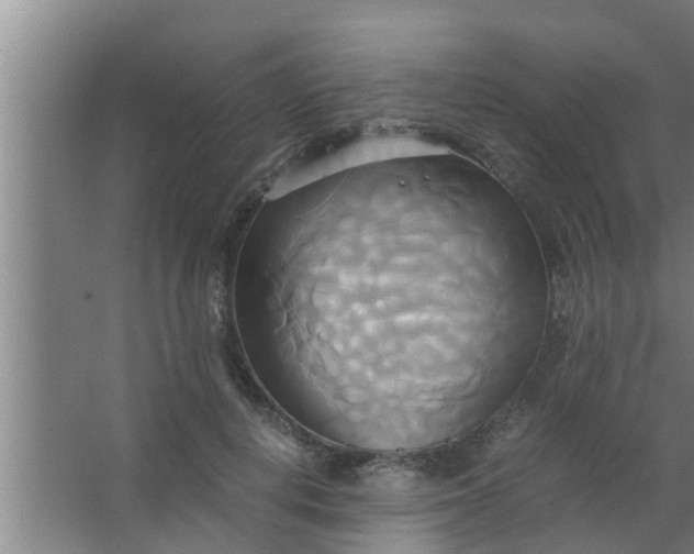 X0000063470648200602031901