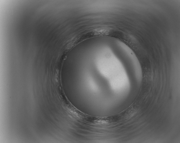 X0000063470649200602031901