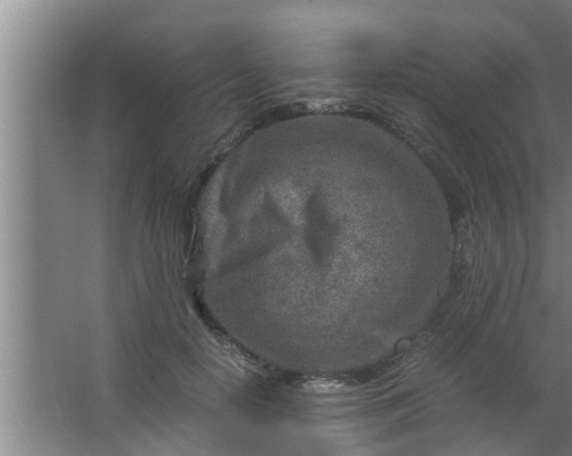 X0000063470650200602031901