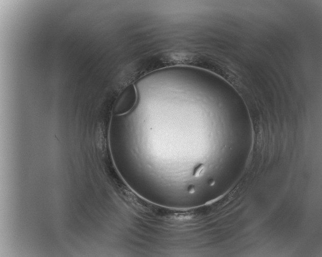 X0000063470651200602031901