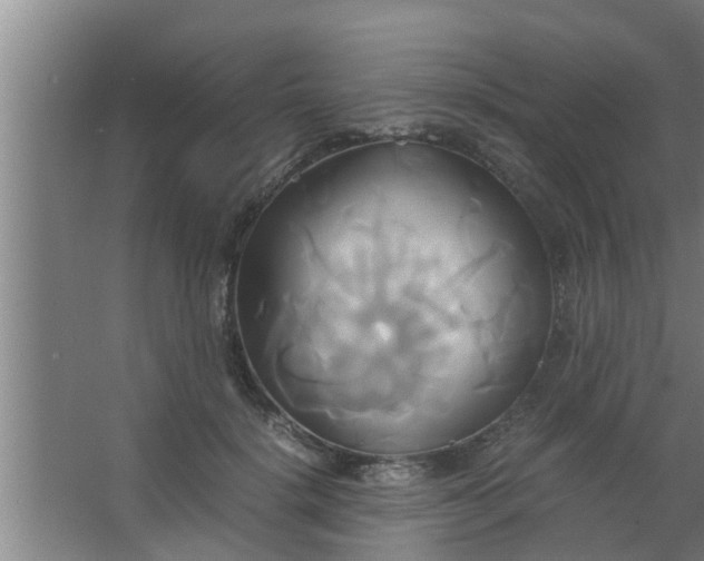 X0000063470652200602031901