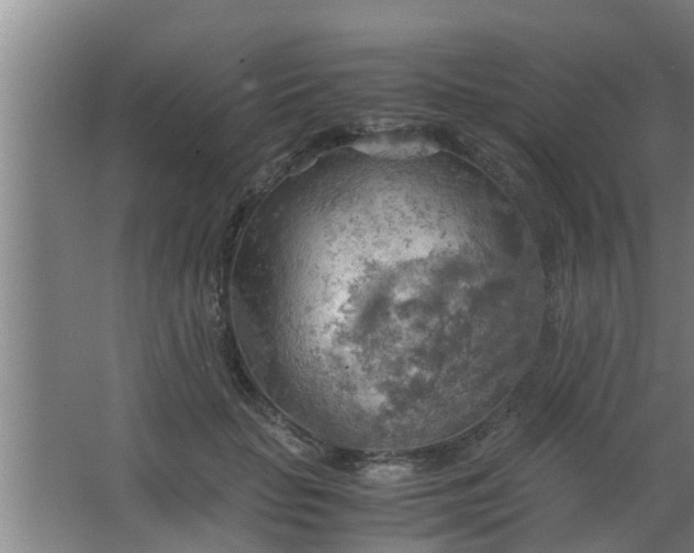 X0000063470653200602031901