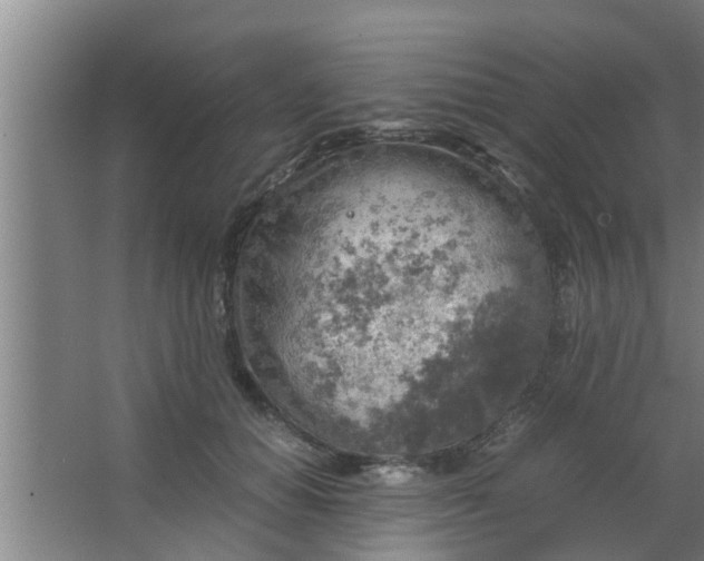 X0000063470654200602031901