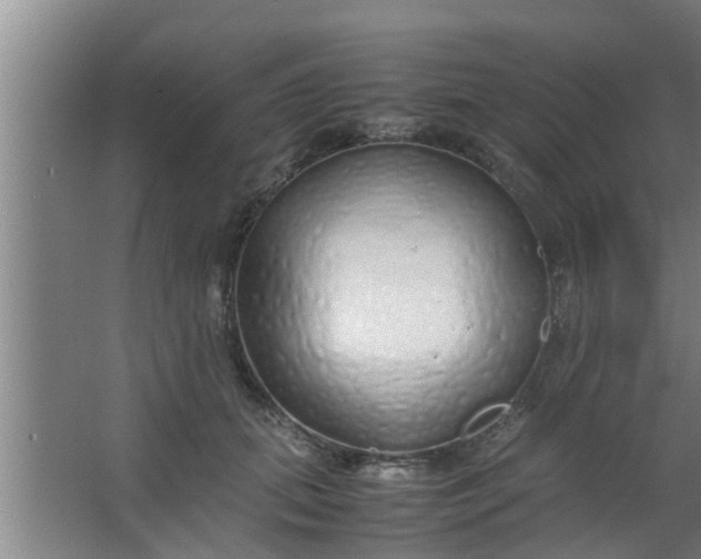 X0000063470655200602031901