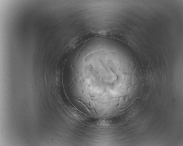 X0000063470656200602031901