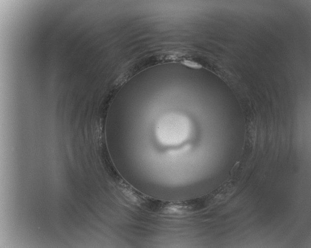 X0000063470657200602031901