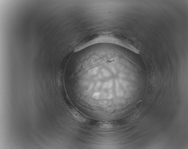 X0000063470658200602031901