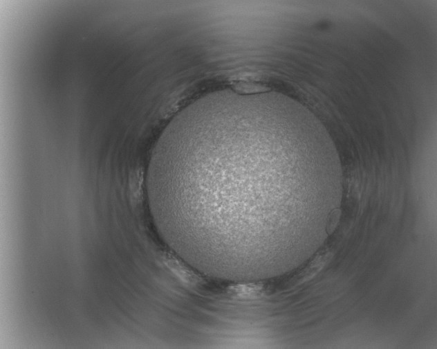 X0000063470660200602031901