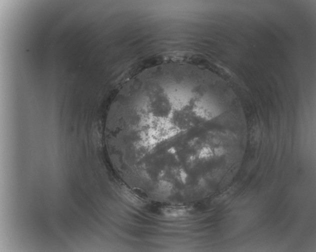 X0000063470661200602031901