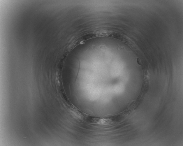 X0000063470663200602031901