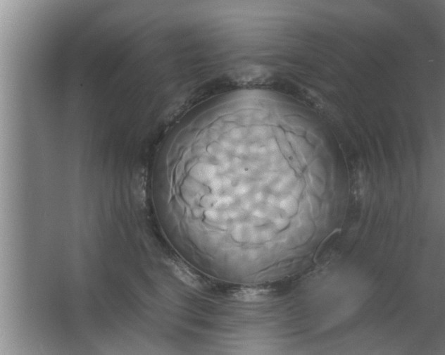 X0000063470664200602031901