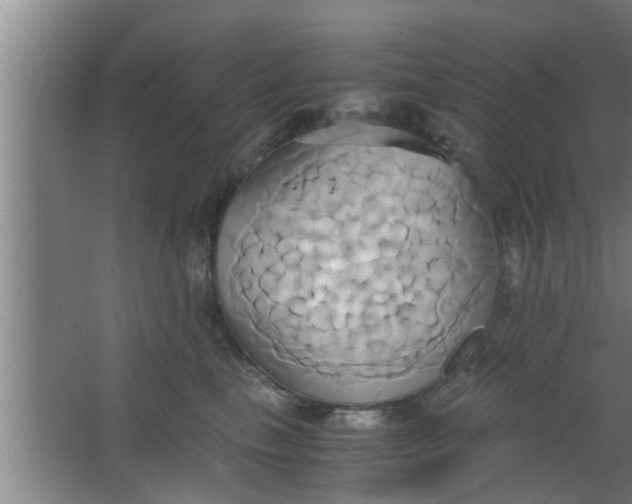 X0000063470665200602031901