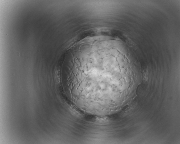 X0000063470666200602031901