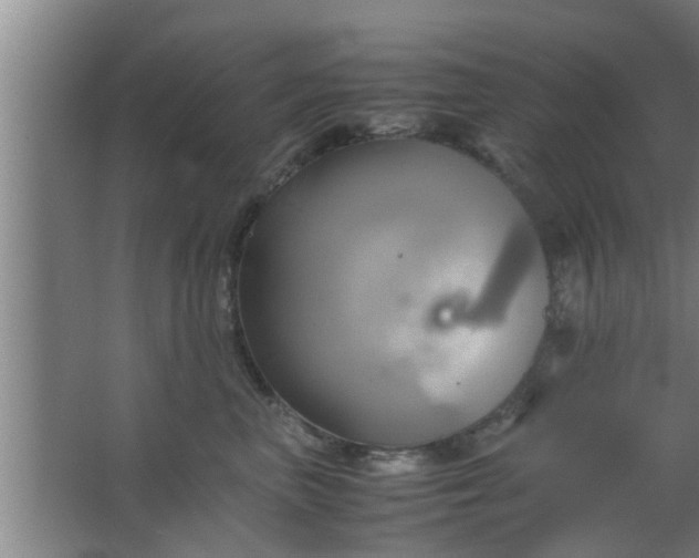 X0000063470667200602031901