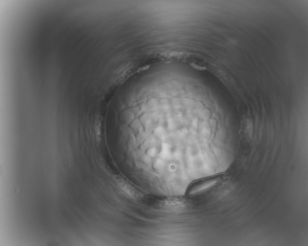 X0000063470668200602031901