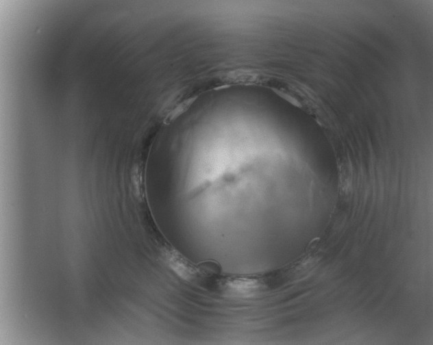 X0000063470669200602031901