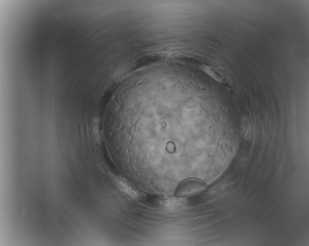 X0000063470670200602031901