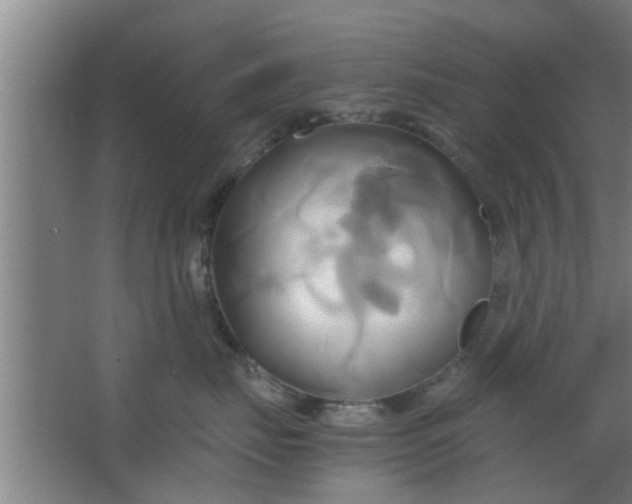 X0000063470671200602031901