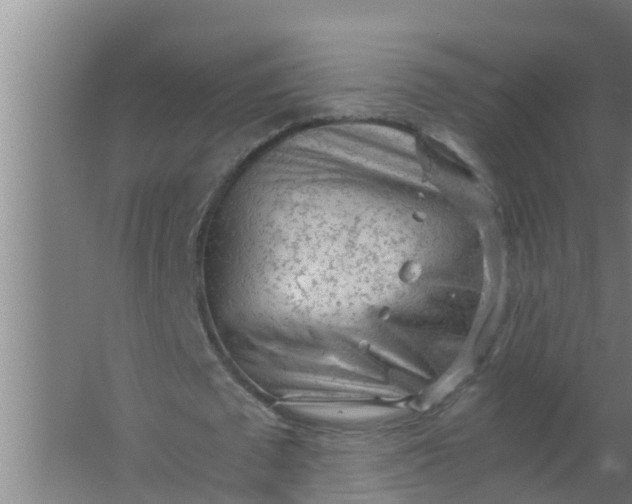 X0000063470673200602031900