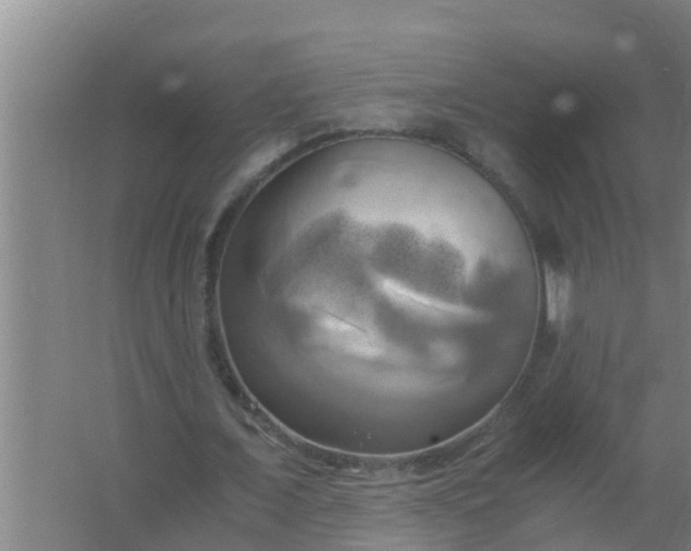 X0000063470675200602031900