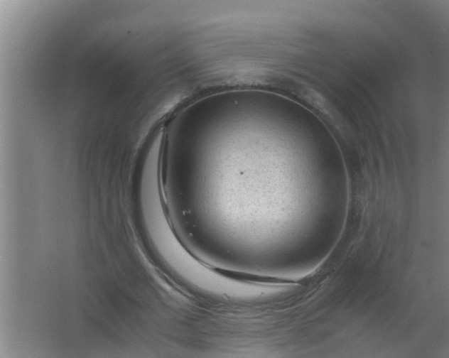 X0000063470677200602031900