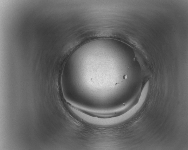 X0000063470681200602031900