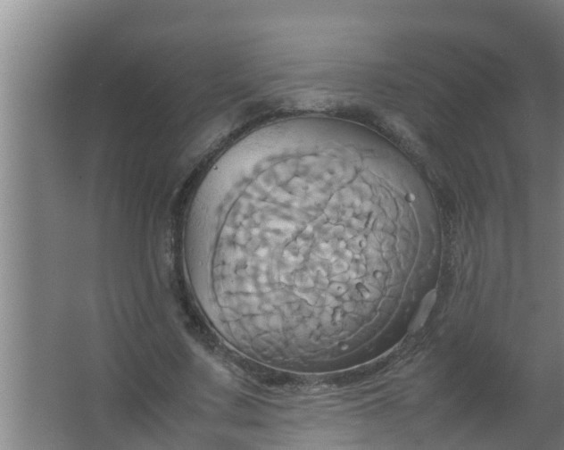 X0000063470683200602031900