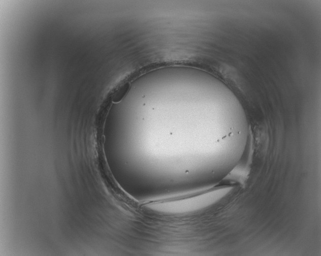 X0000063470684200602031900