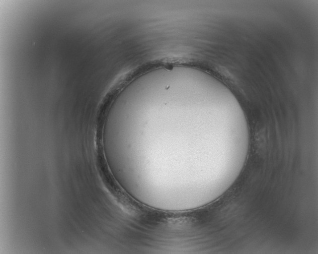 X0000063470686200602031900