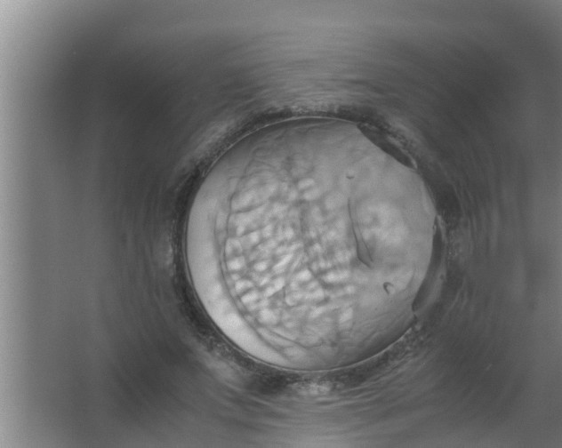 X0000063470687200602031900