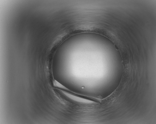 X0000063470688200602031900