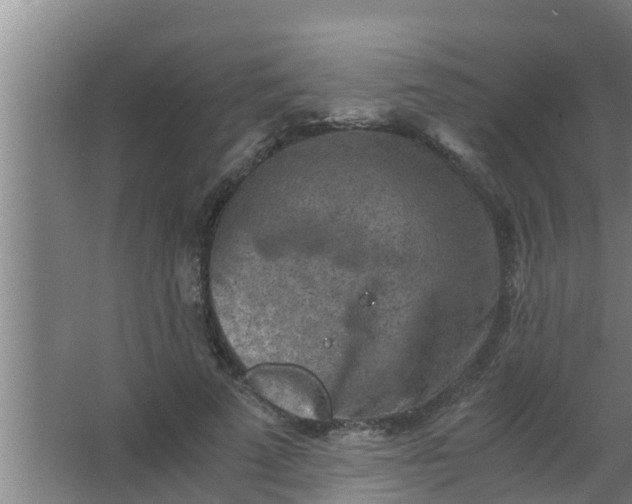 X0000063470689200602031900