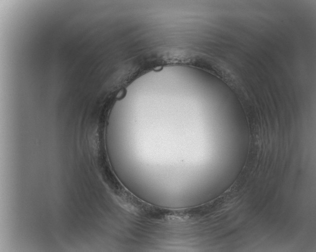 X0000063470690200602031900